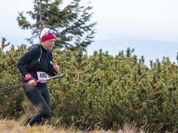 Jesenický maraton 2025. Autor: Daniel Nováček (https://eu.zonerama.com/DNdanfoto)