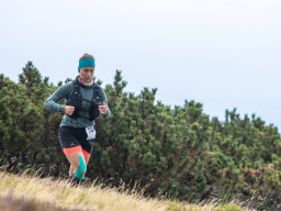 Jesenický maraton 2025. Autor: Daniel Nováček (https://eu.zonerama.com/DNdanfoto)