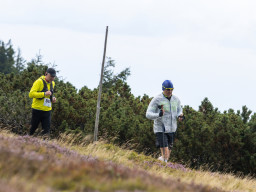 Jesenický maraton 2025. Autor: Daniel Nováček (https://eu.zonerama.com/DNdanfoto)