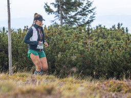Jesenický maraton 2025. Autor: Daniel Nováček (https://eu.zonerama.com/DNdanfoto)