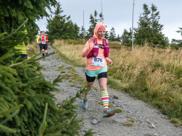 Jesenický maraton 2025. Autor: Daniel Nováček (https://eu.zonerama.com/DNdanfoto)