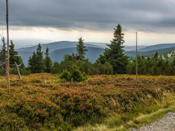 Jesenický maraton 2025. Autor: Daniel Nováček (https://eu.zonerama.com/DNdanfoto)