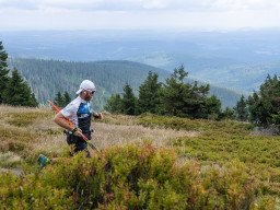 Jesenický maraton 2025. Autor: Daniel Nováček (https://eu.zonerama.com/DNdanfoto)