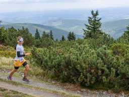 Jesenický maraton 2025. Autor: Daniel Nováček (https://eu.zonerama.com/DNdanfoto)