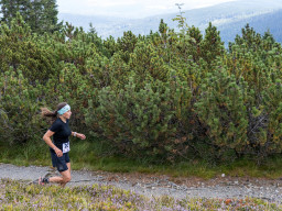 Jesenický maraton 2025. Autor: Daniel Nováček (https://eu.zonerama.com/DNdanfoto)