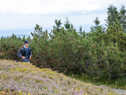 Jesenický maraton 2025. Autor: Daniel Nováček (https://eu.zonerama.com/DNdanfoto)