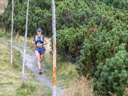 Jesenický maraton 2025. Autor: Daniel Nováček (https://eu.zonerama.com/DNdanfoto)