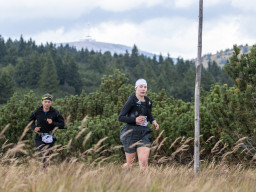 Jesenický maraton 2025. Autor: Daniel Nováček (https://eu.zonerama.com/DNdanfoto)