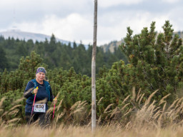 Jesenický maraton 2025. Autor: Daniel Nováček (https://eu.zonerama.com/DNdanfoto)