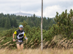 Jesenický maraton 2025. Autor: Daniel Nováček (https://eu.zonerama.com/DNdanfoto)
