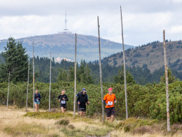 Jesenický maraton 2025. Autor: Daniel Nováček (https://eu.zonerama.com/DNdanfoto)