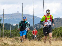 Jesenický maraton 2025. Autor: Daniel Nováček (https://eu.zonerama.com/DNdanfoto)