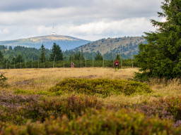 Jesenický maraton 2025. Autor: Daniel Nováček (https://eu.zonerama.com/DNdanfoto)