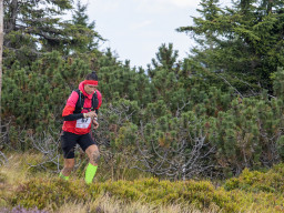 Jesenický maraton 2025. Autor: Daniel Nováček (https://eu.zonerama.com/DNdanfoto)