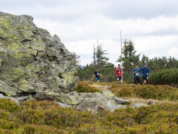 Jesenický maraton 2025. Autor: Daniel Nováček (https://eu.zonerama.com/DNdanfoto)