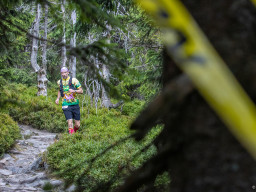 Jesenický maraton 2025. Autor: Daniel Nováček (https://eu.zonerama.com/DNdanfoto)