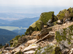 Jesenický maraton 2025. Autor: Daniel Nováček (https://eu.zonerama.com/DNdanfoto)